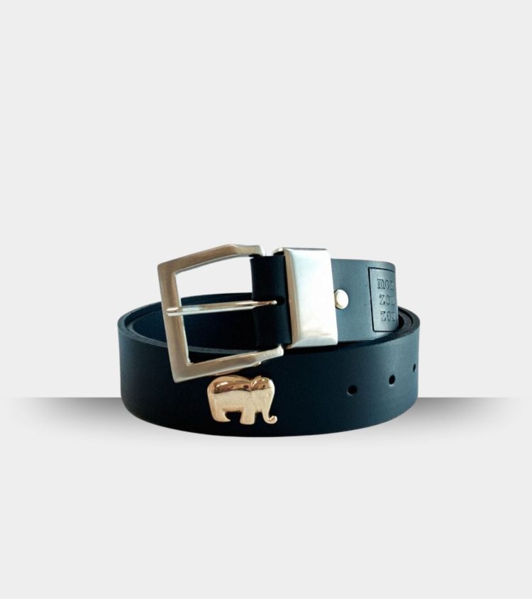 Golden Trunk Charm Belt